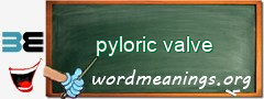 WordMeaning blackboard for pyloric valve
